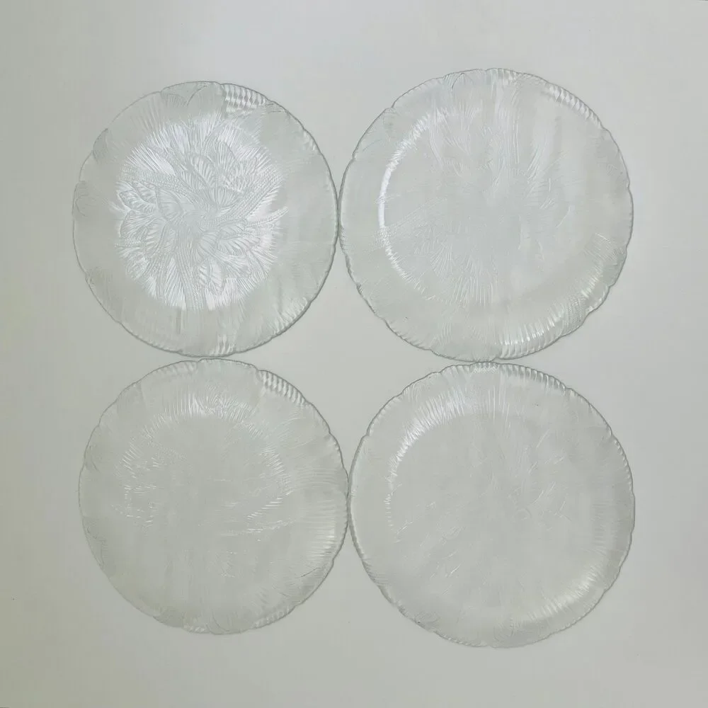 ARCOROC France Canterbury Crocus Pressed Clear Glass Salad Plates, Set of 4